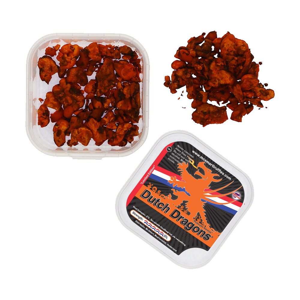 McSmart Dutch Dragons - Top View